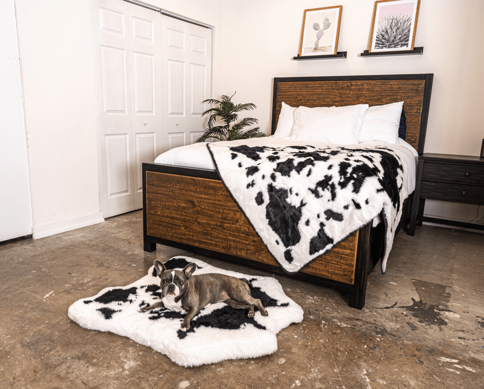 PupRug™ Junior Memory Foam Bed + Matching Waterproof Blanket Bundle - Black Faux Cowhide、mySite、solidvoid
