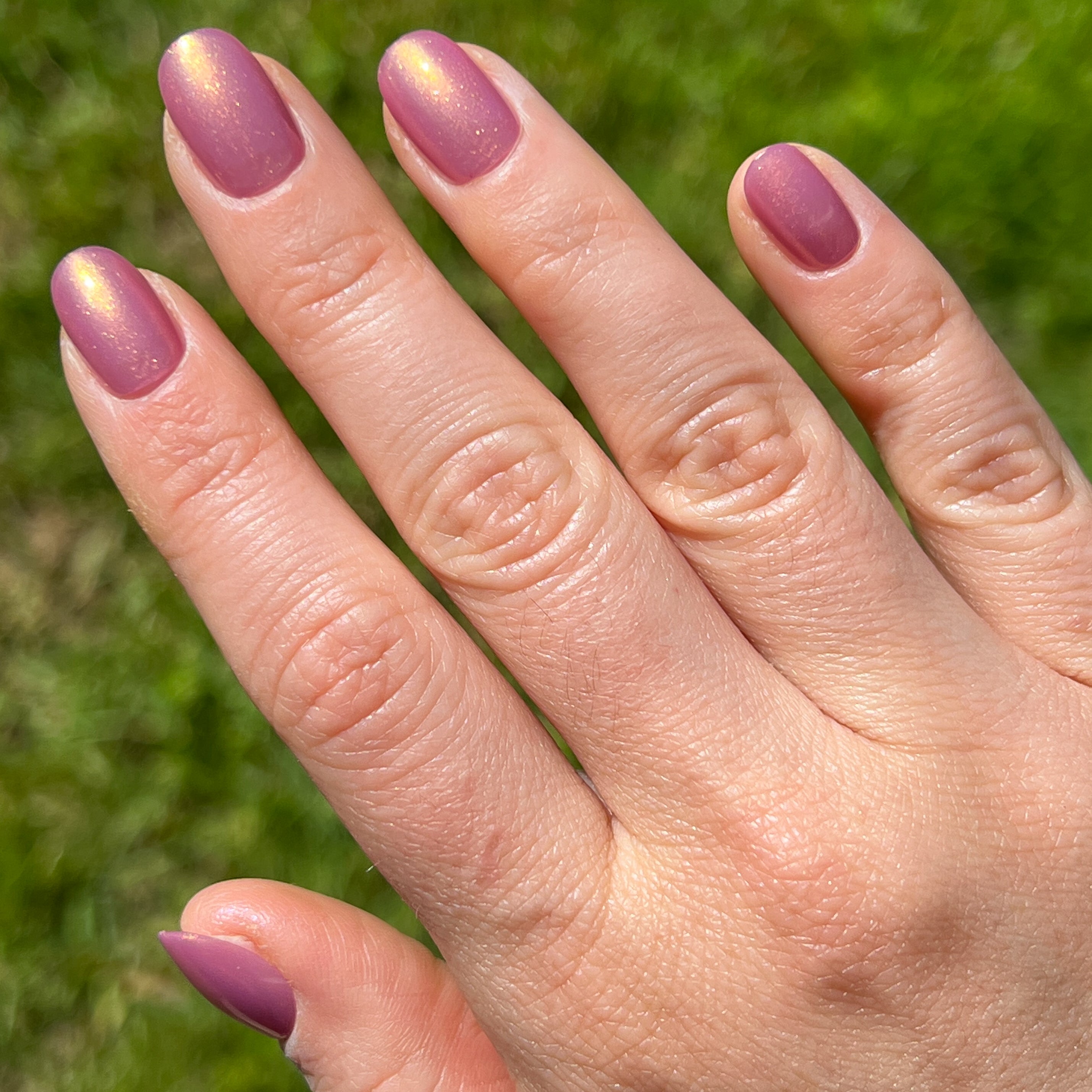 Baby Starfish | Round | Extra Short、mySite、solidvoid