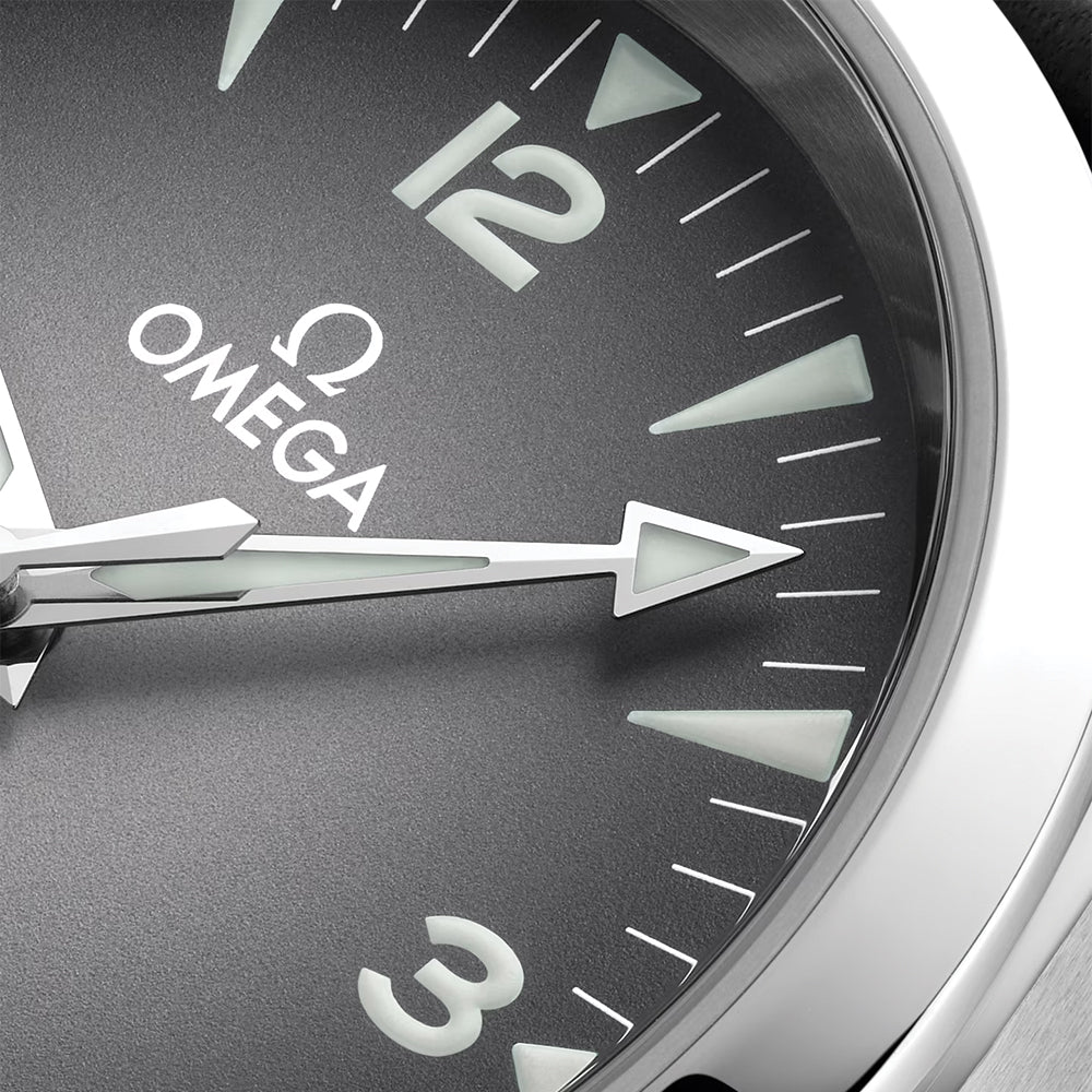  Seamaster Railmaster Co-Axial Master Chronometer 38mm - Grey on Leather Strap