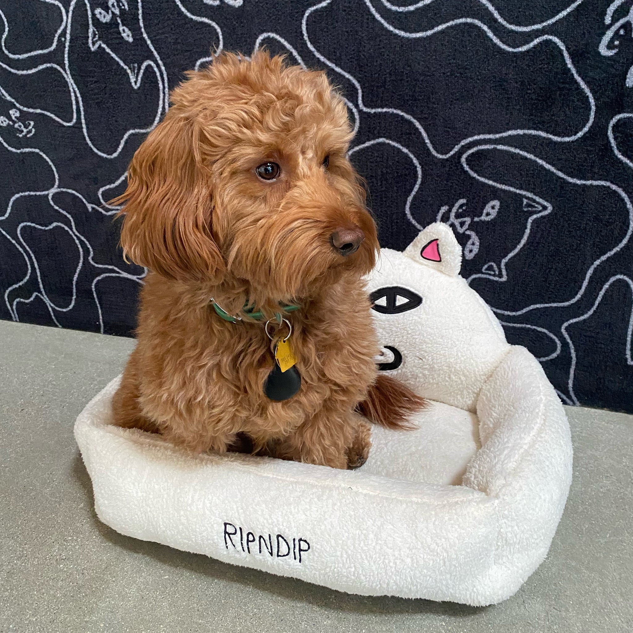  Lord Nermal Small Pet Bed (White)、mySite、merchandisen