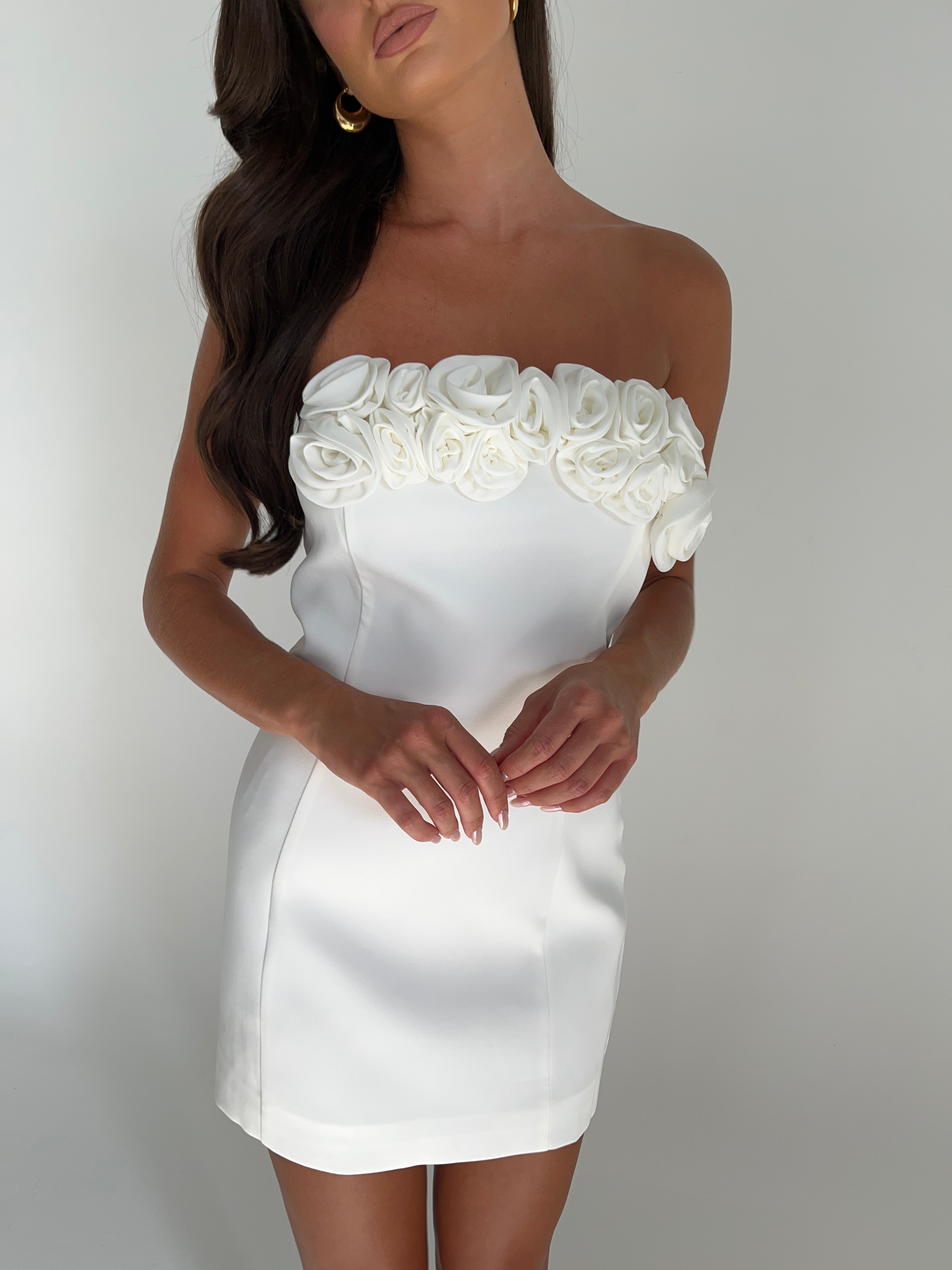 Brooks Rose Mini Dress - White、mySite、solidvoid