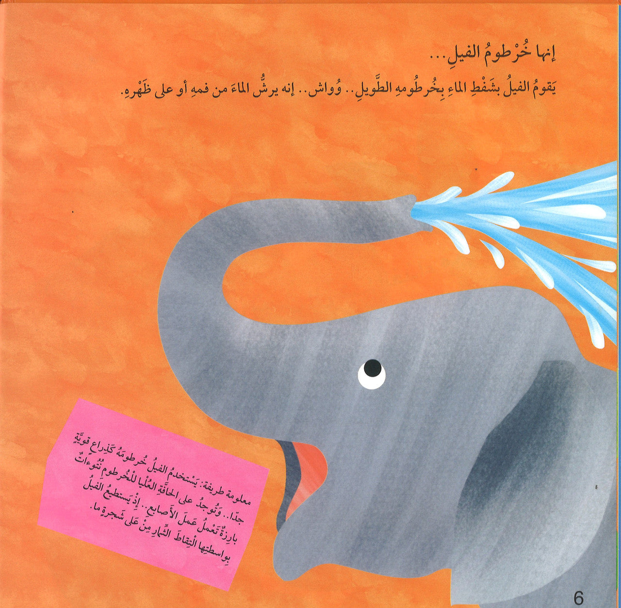 These Noses Belongs To Who ?- لمن هذه الأنوف、mySite、topwebapps