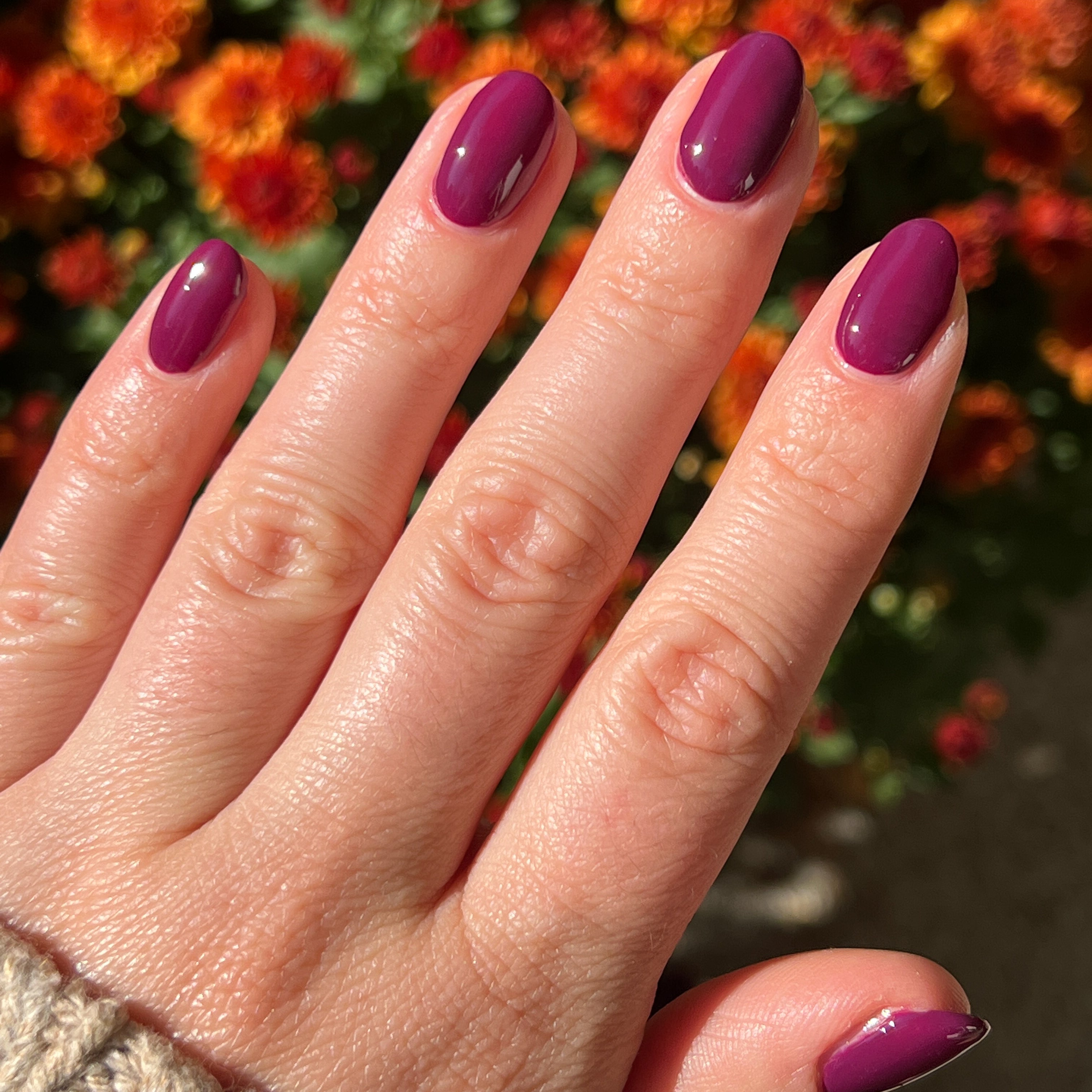 Plaza、mySite、solidvoid