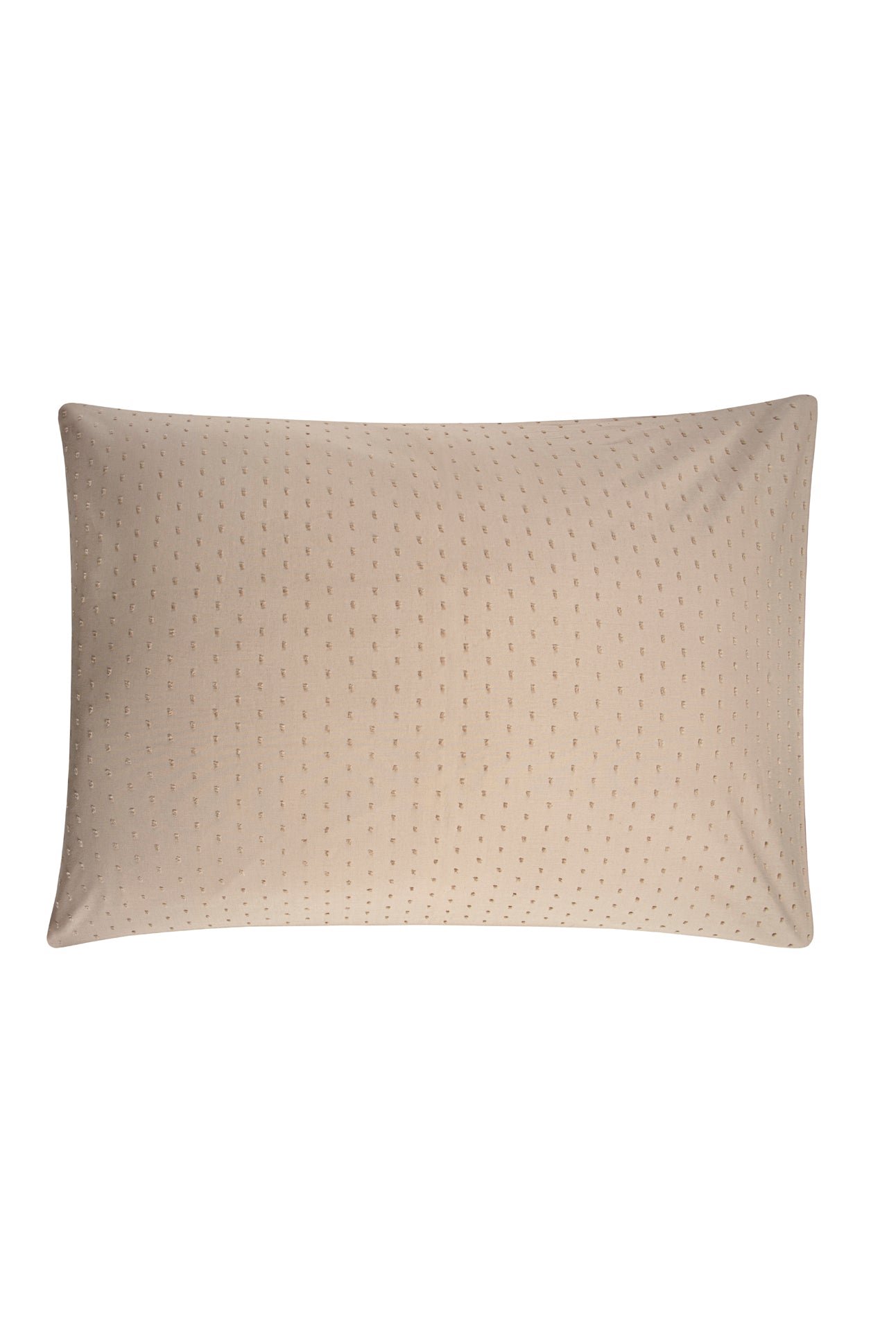  Bovi Comporta Sham、mySite、elrpsem3k