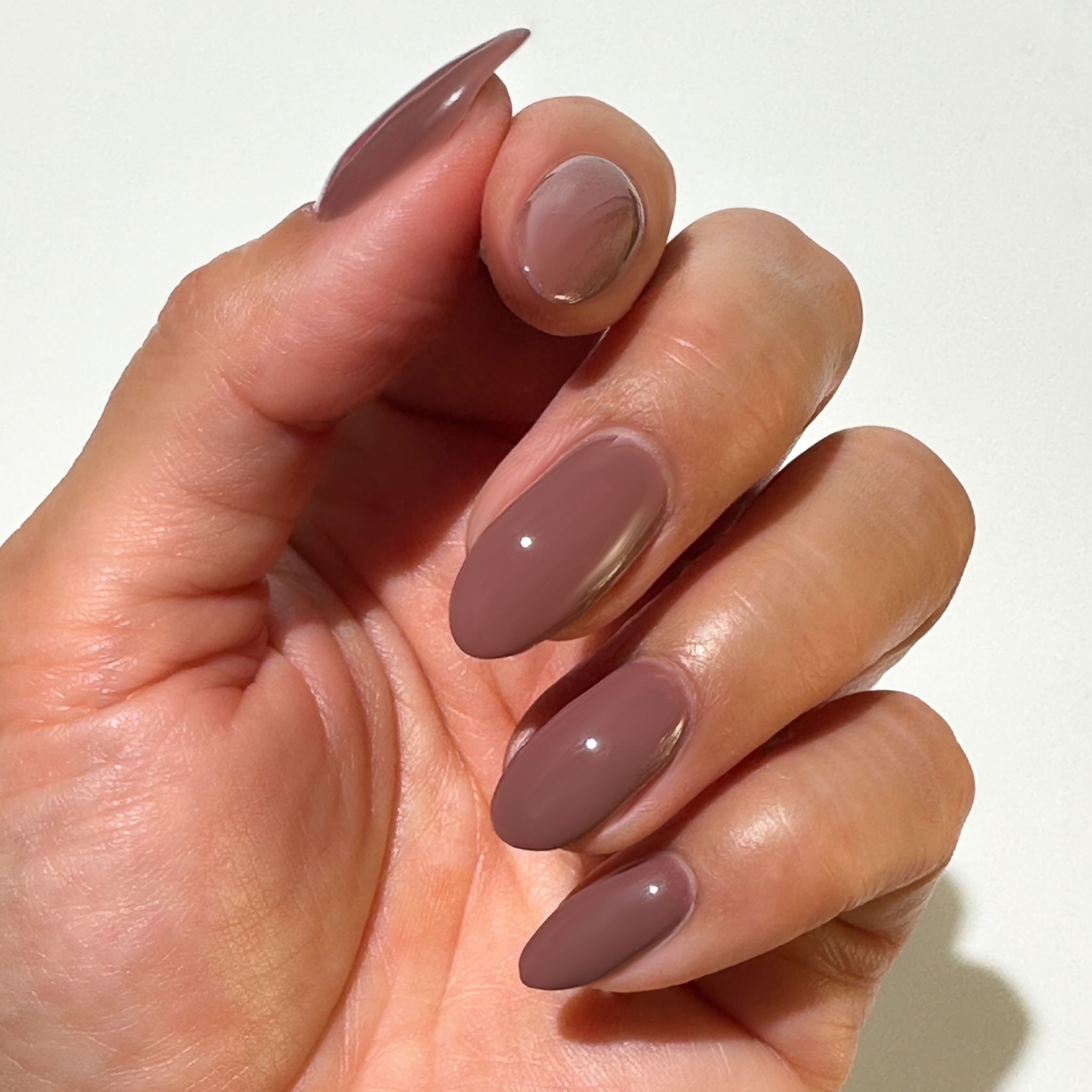 Shacket - Gel、mySite、solidvoid