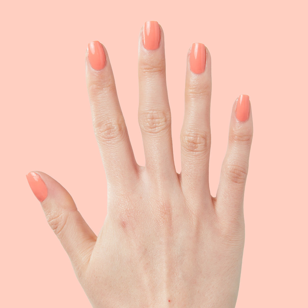 The Summer Set、mySite、solidvoid