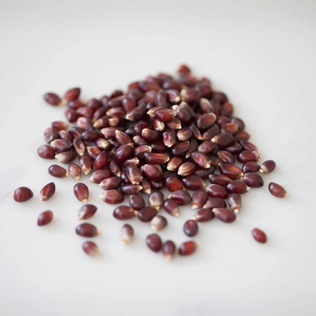 Amish Country Popcorn、mySite、garagedoors4me