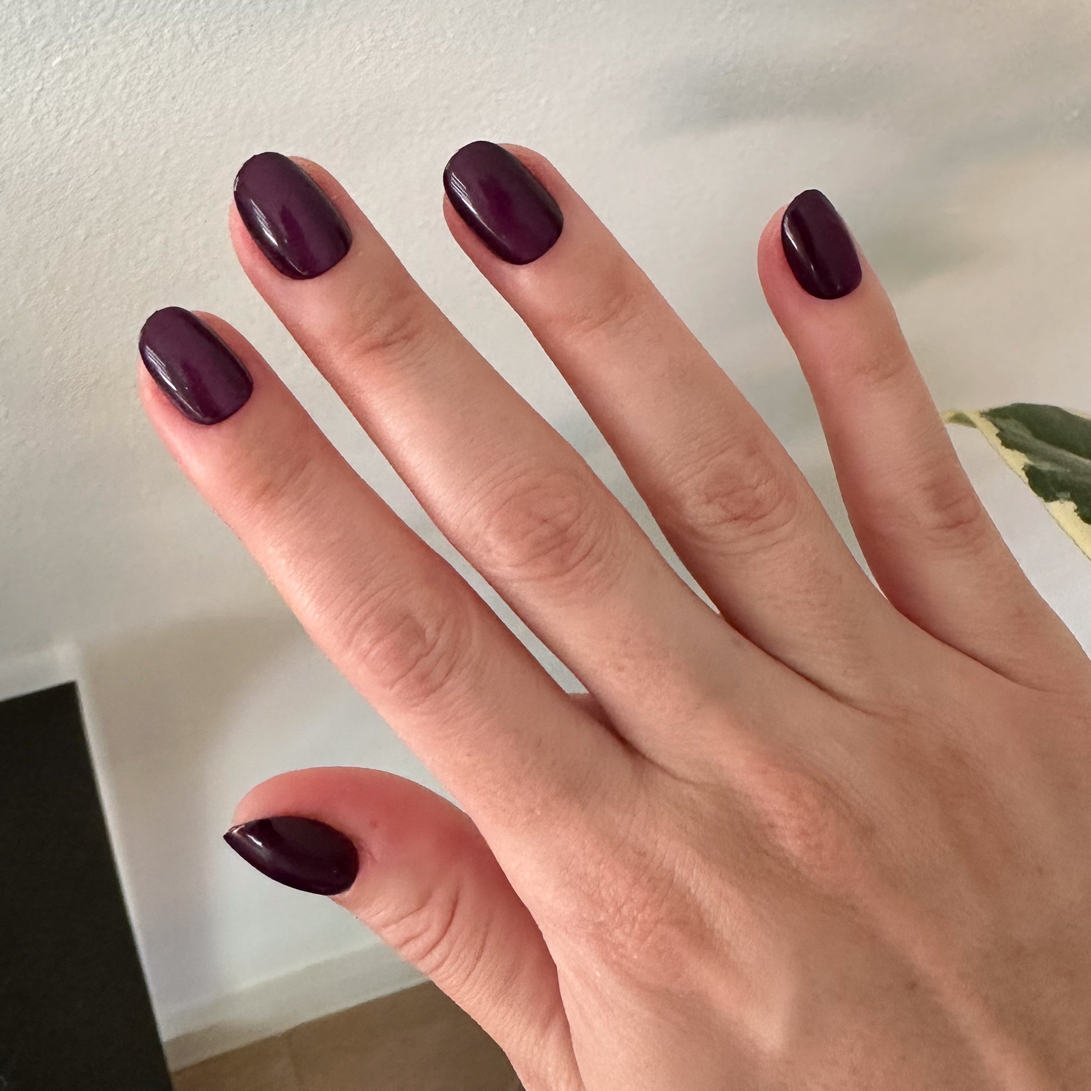 Velvet Plaza - Press-On | Extra Short | Round、mySite、solidvoid