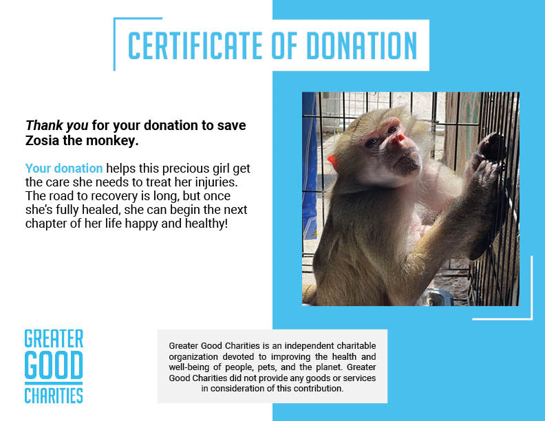 Funded: Help Zosia Heal from a Life of Neglect、mySite、camillekostekn