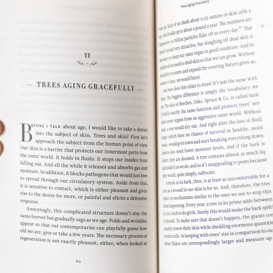 Hidden Life of Trees、mySite、topwebapps