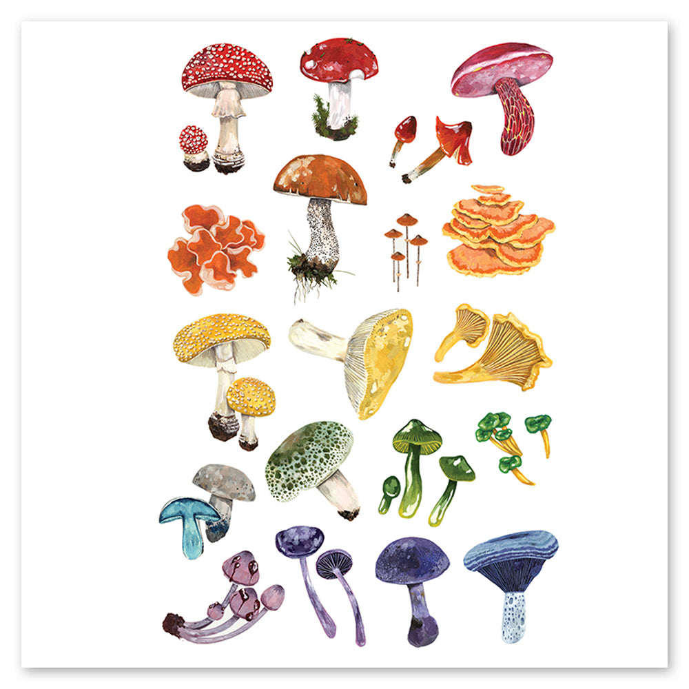  Colorful Mushrooms Tattly Temporary Tattoo Sheets、mySite、ghnorth