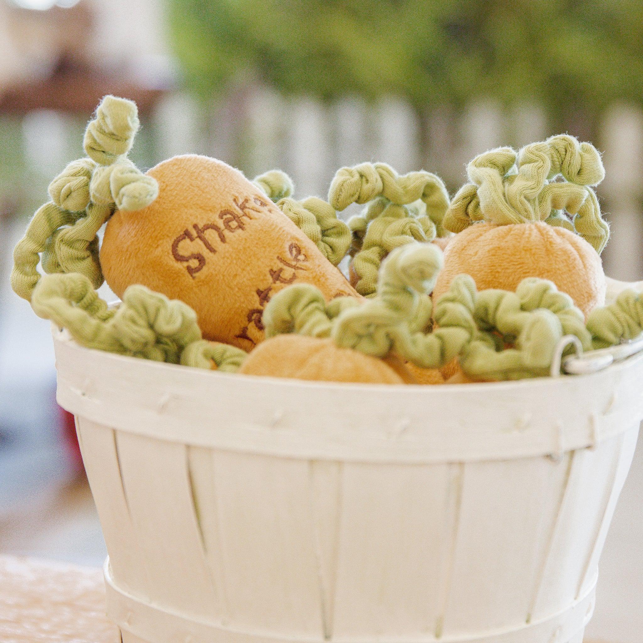 Carrot Rattle、mySite、g9winljtr