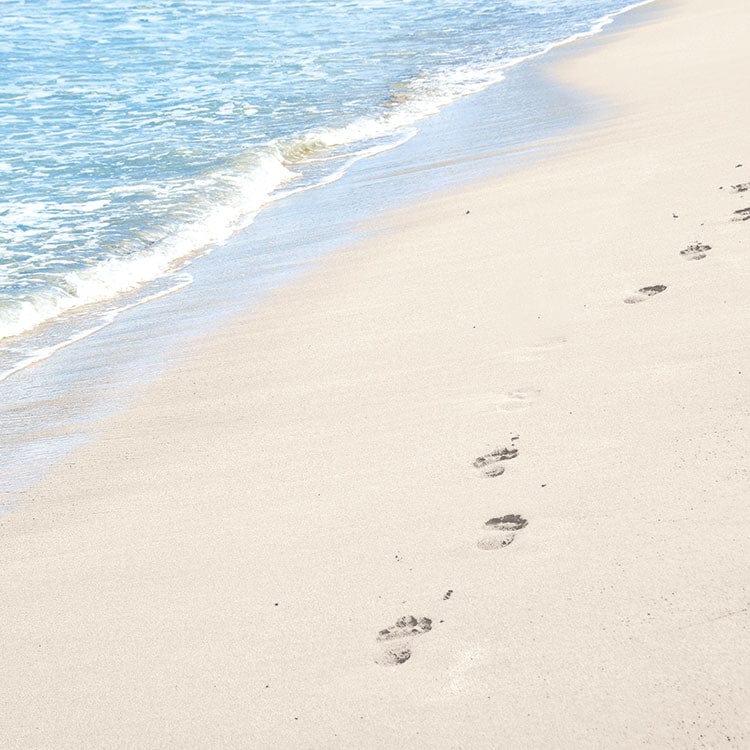  Scrapbook Paper - Footprints in the Sand、mySite、ghnorth