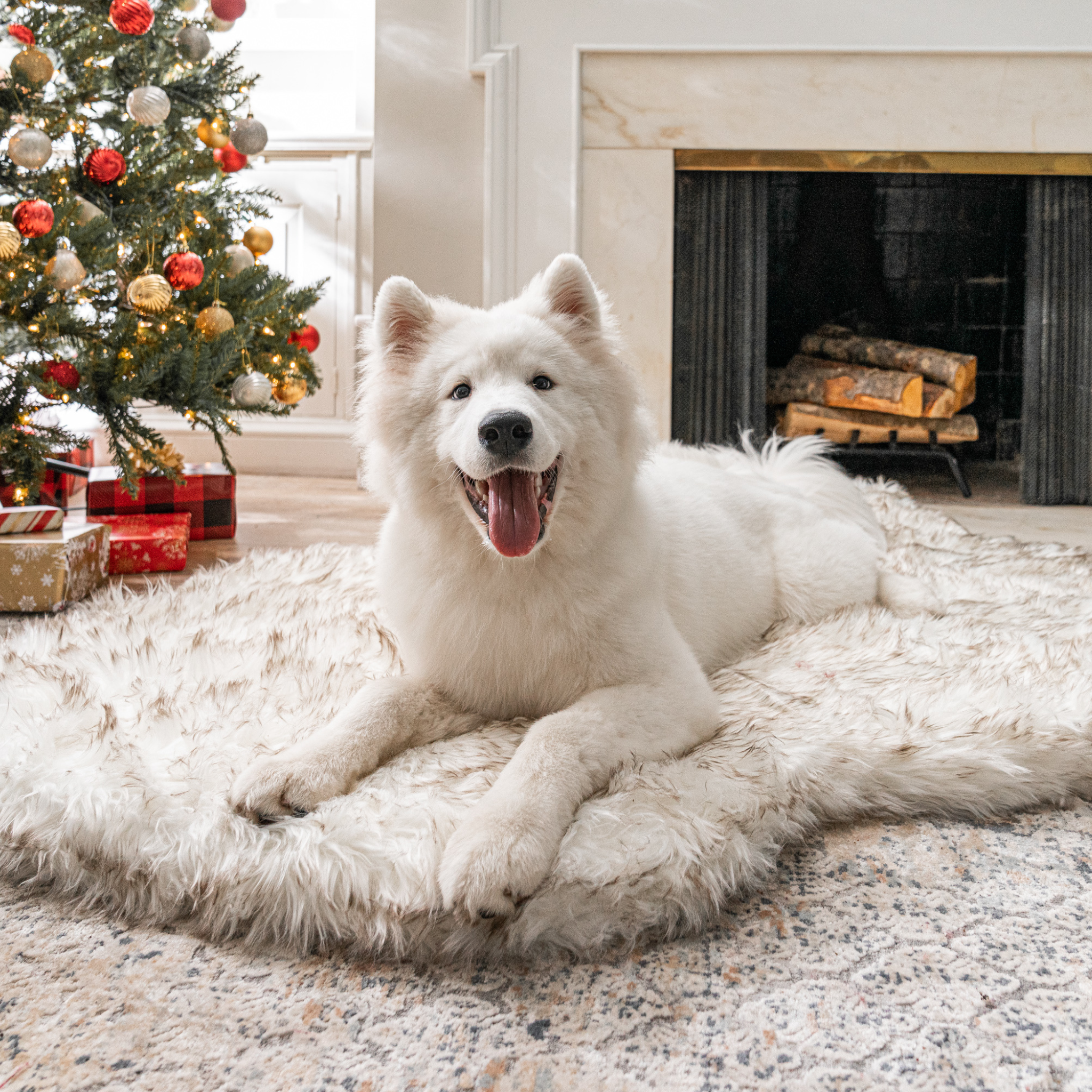 PupRug™ Faux Fur White With Brown Accents Orthopedic Dog Bed + FREE Red & Black Plaid Bed Cover、mySite、solidvoid