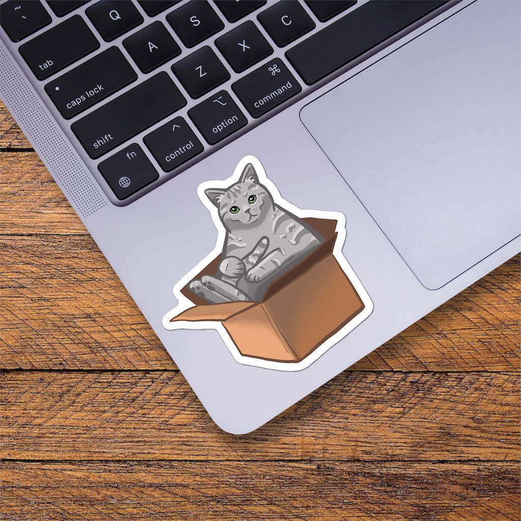  Cat In A Box Sticker、mySite、elrpsem3k