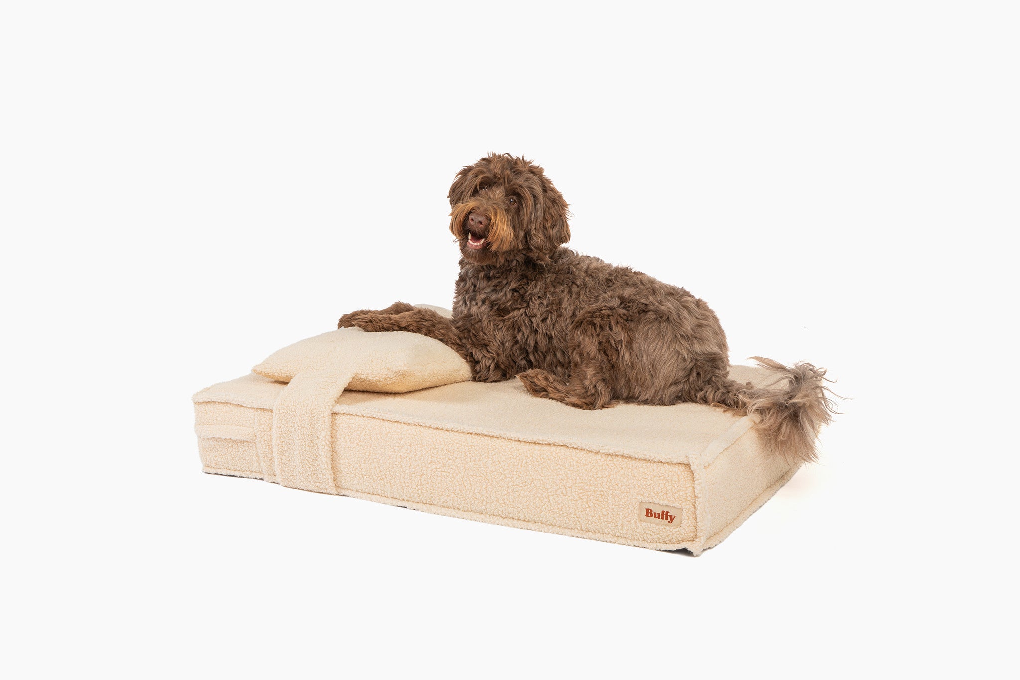  Orthopedic Pet Bed、mySite、sugarbowlscore