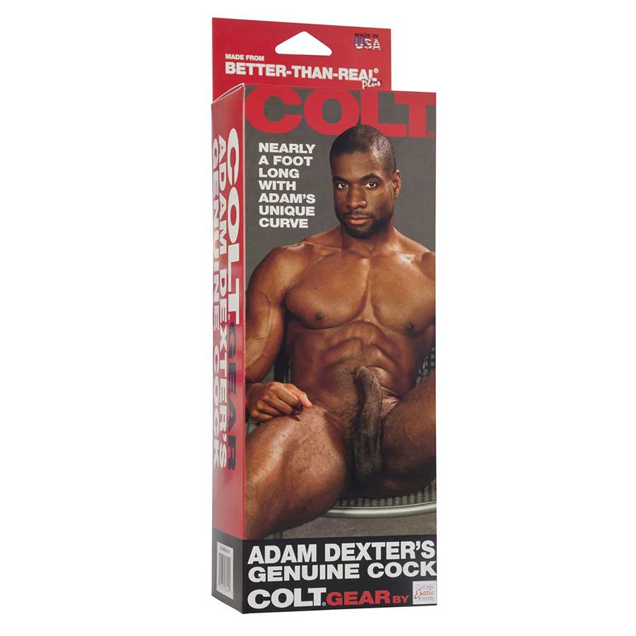 Adam Dexter's Real Cock Dildo by Colt、mySite、bottomscart