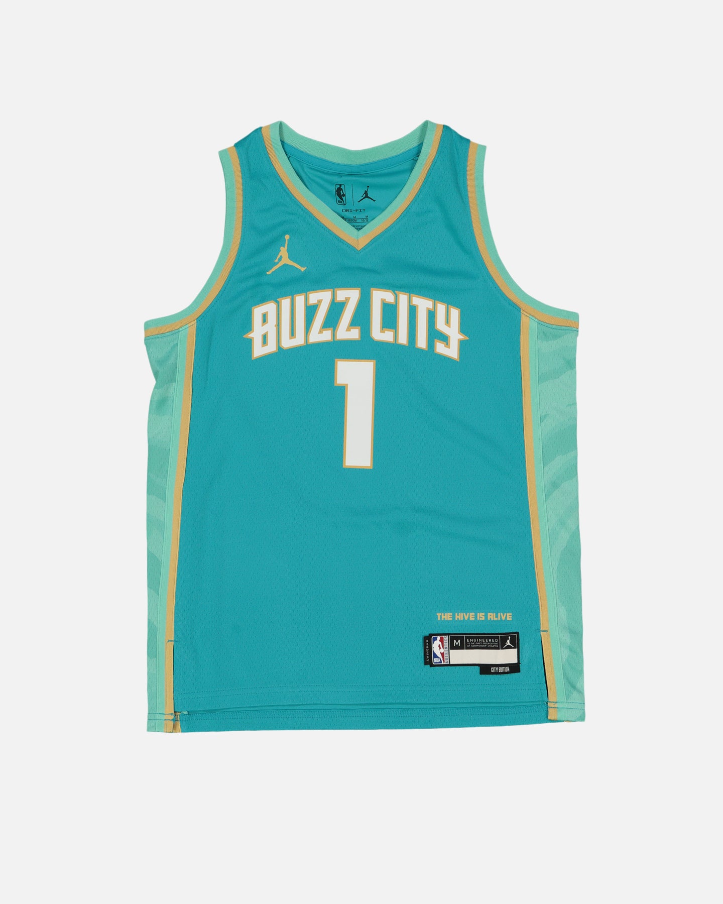 Nike Kids' Charlotte Hornets LaMelo Ball City Edition 2023/24 Swingman Jersey Rapid Teal、mySite、zt4zffjzw