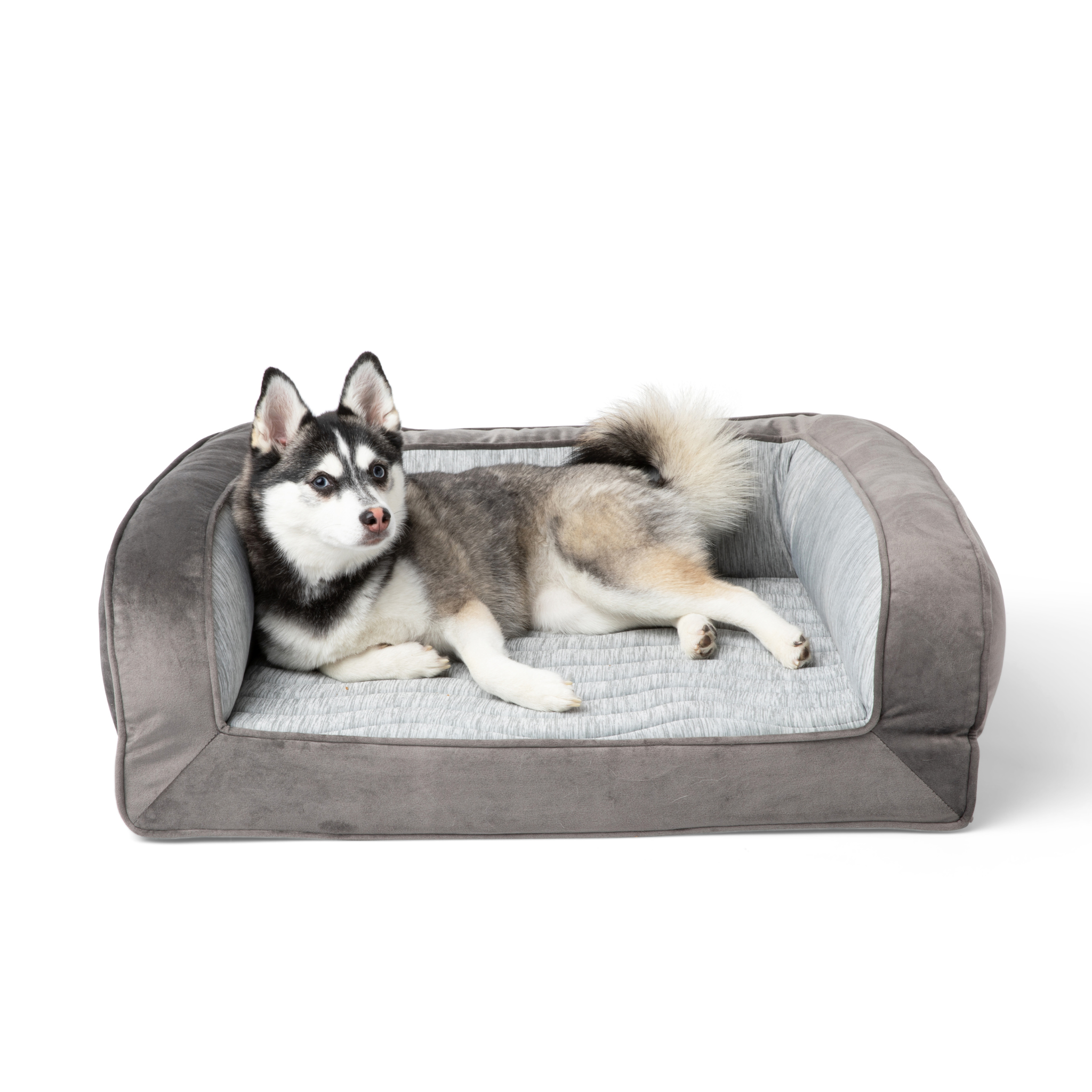 PupChill™ Cooling Bolster Dog Bed、mySite、solidvoid