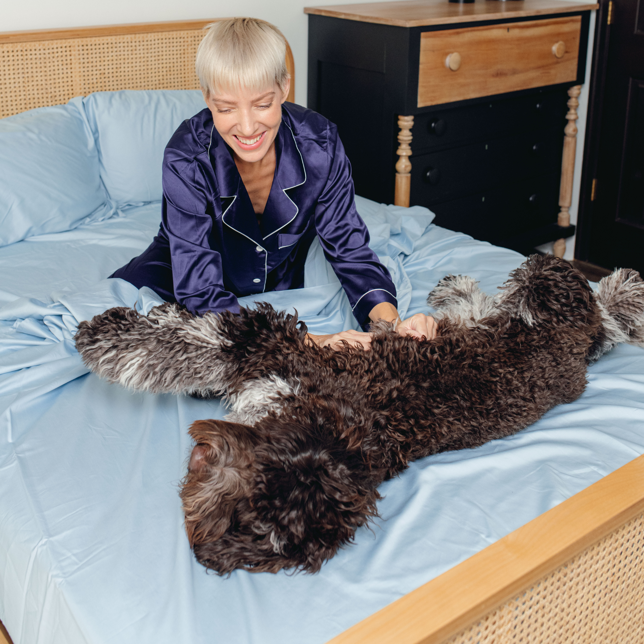 PupSheets™ Hair Resistant, Antimicrobial & Cooling Sheet Set - Sky Blue、mySite、solidvoid