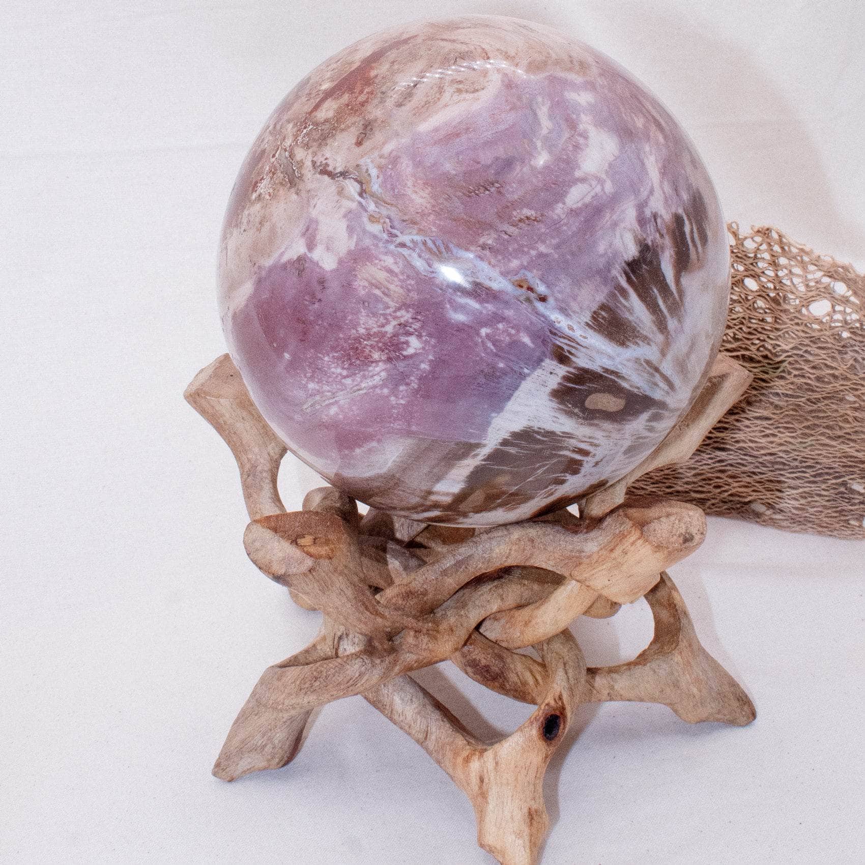Petrified Wood Sphere - AAA Premium Quality、mySite、hinf8tx79
