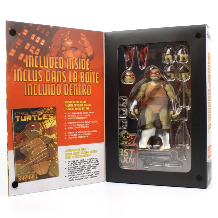 Teenage Mutant Ninja Turtles BST AXN IDW Comic Raphael (Version 2)、mySite、hgirdovlk