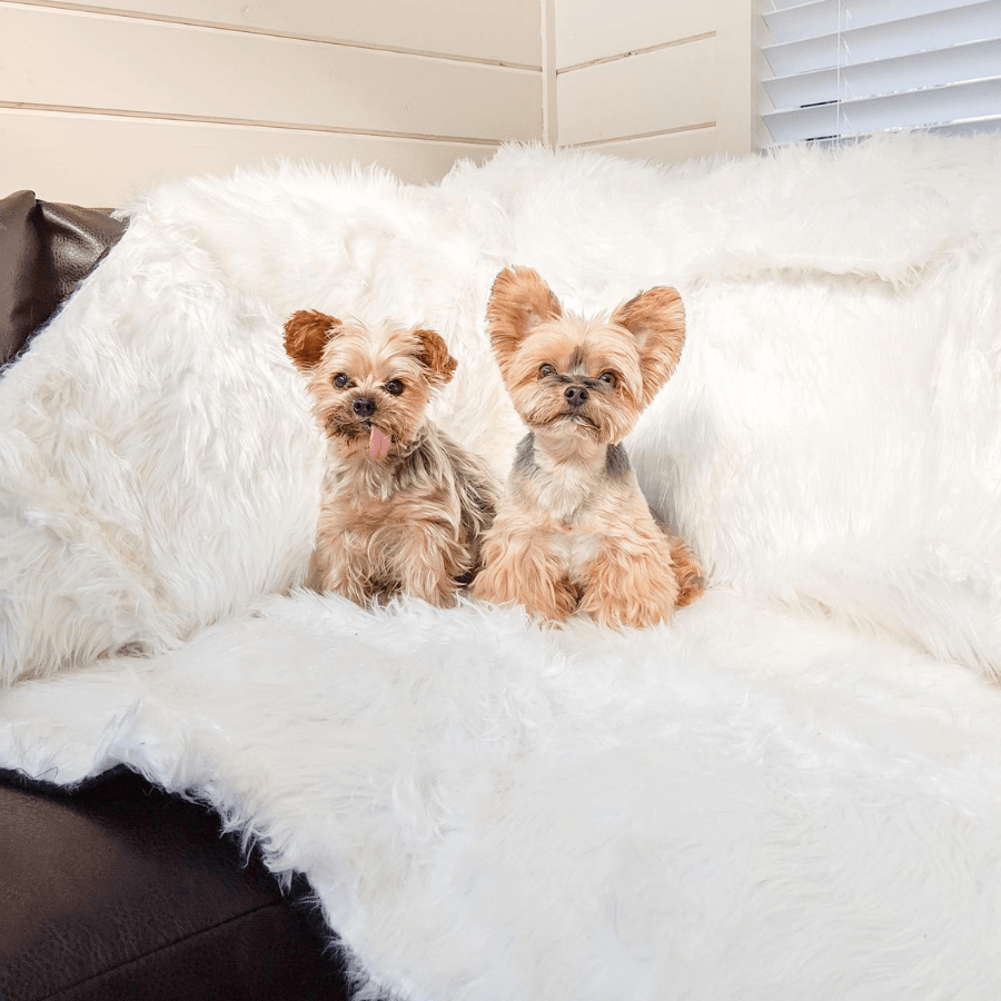 Paw.com x BarkBox PupProtector™ Waterproof Throw Blanket - Polar White、mySite、solidvoid