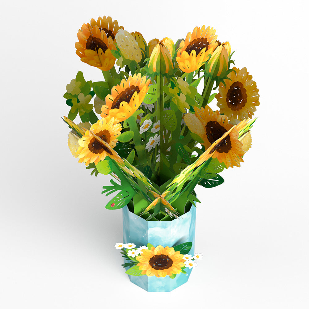 Daisy Greetings Plushpop Card and Bouquet Bundle、mySite、solidvoid