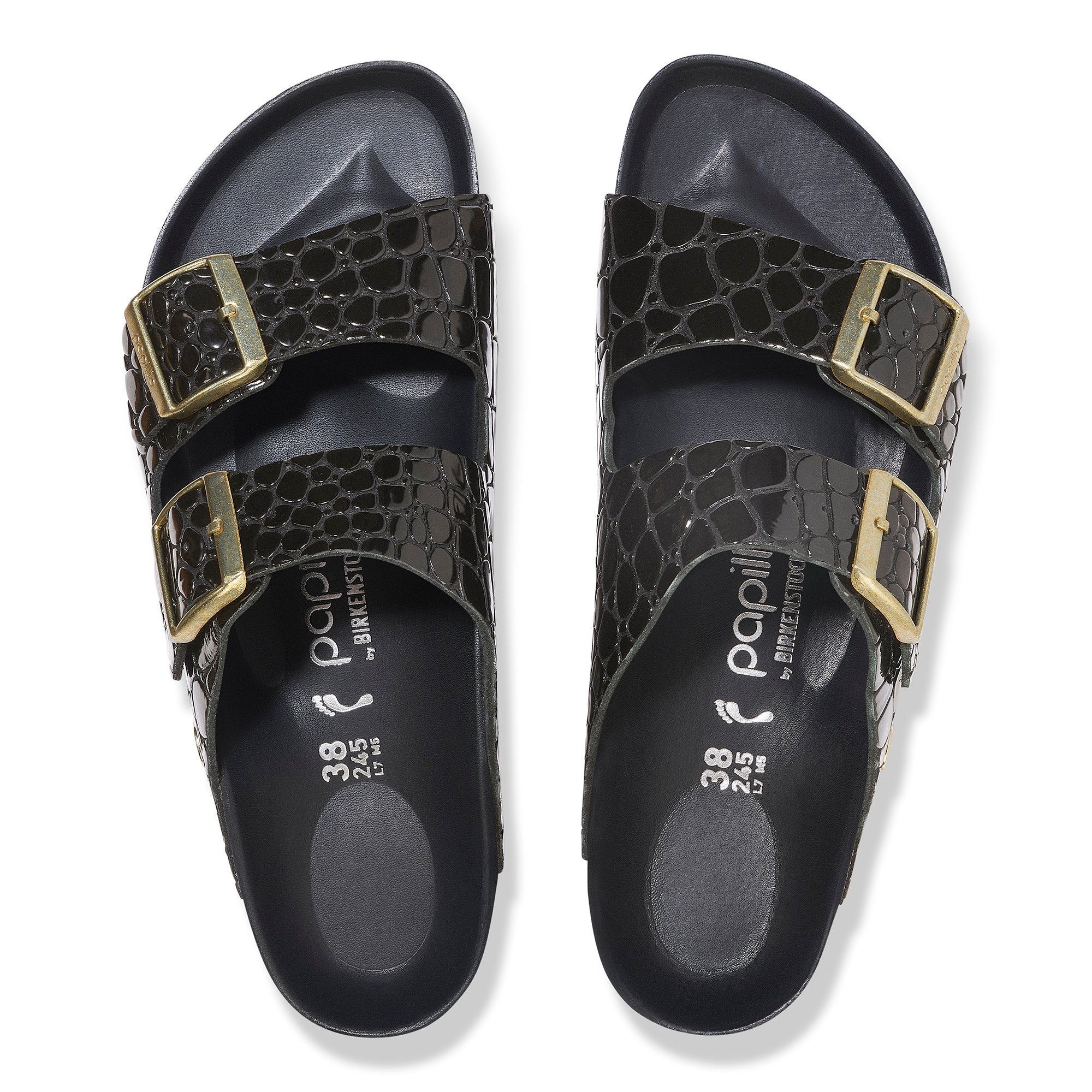  Arizona Platform | Patent | Black Croc、mySite、preschool7hills