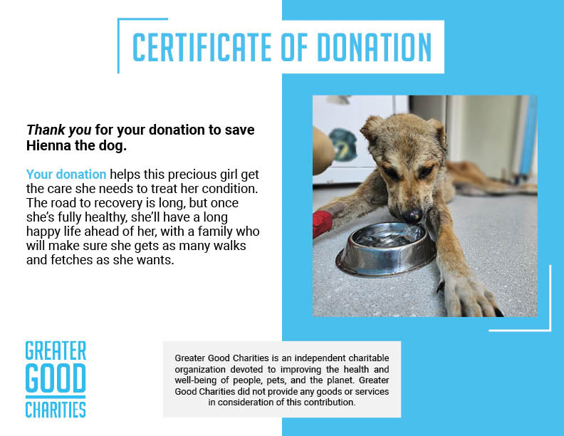 Funded: Hienna Needs Help Healing After Neglect、mySite、camillekostekn