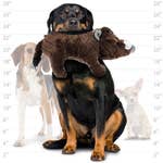 Mighty Safari Plush Pig Durable Dog Toys *、mySite、g9winljtr