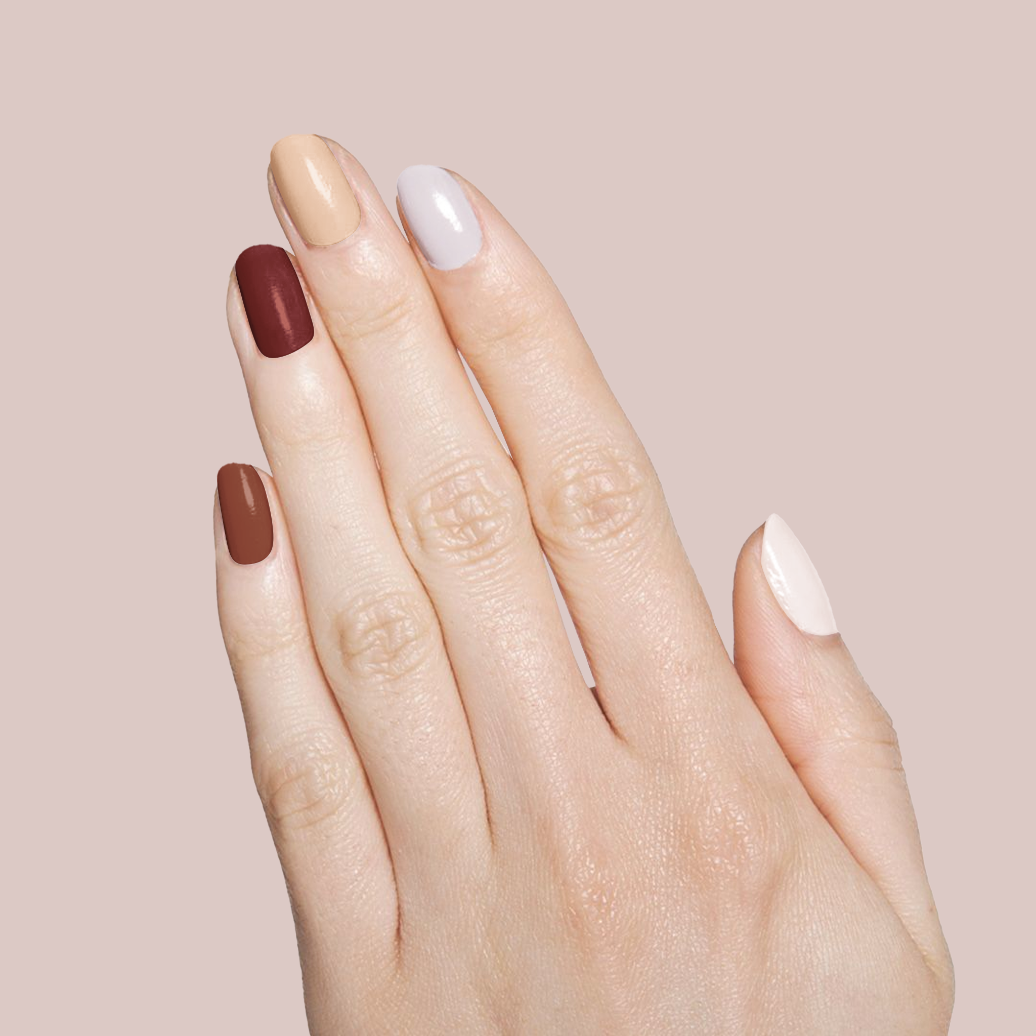 Shaken Espresso、mySite、solidvoid