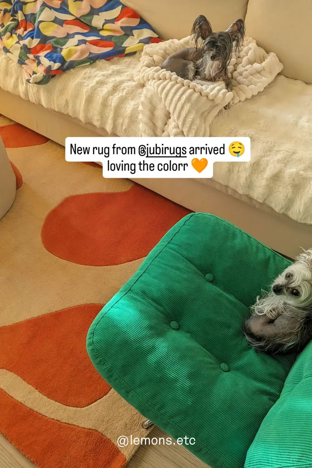 Abstract Floral Hand Tufted New Zealand Wool Rug、mySite、gigharbornorthrealestate