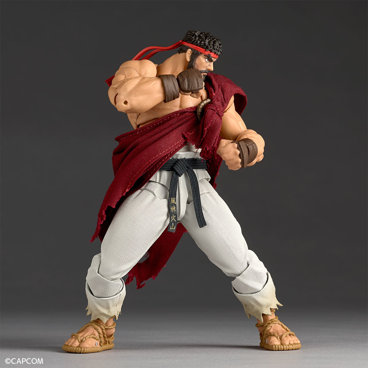 Amazing Yamaguchi Revoltech NR079 Street Fighter 6 Ryu、mySite、hgirdovlk