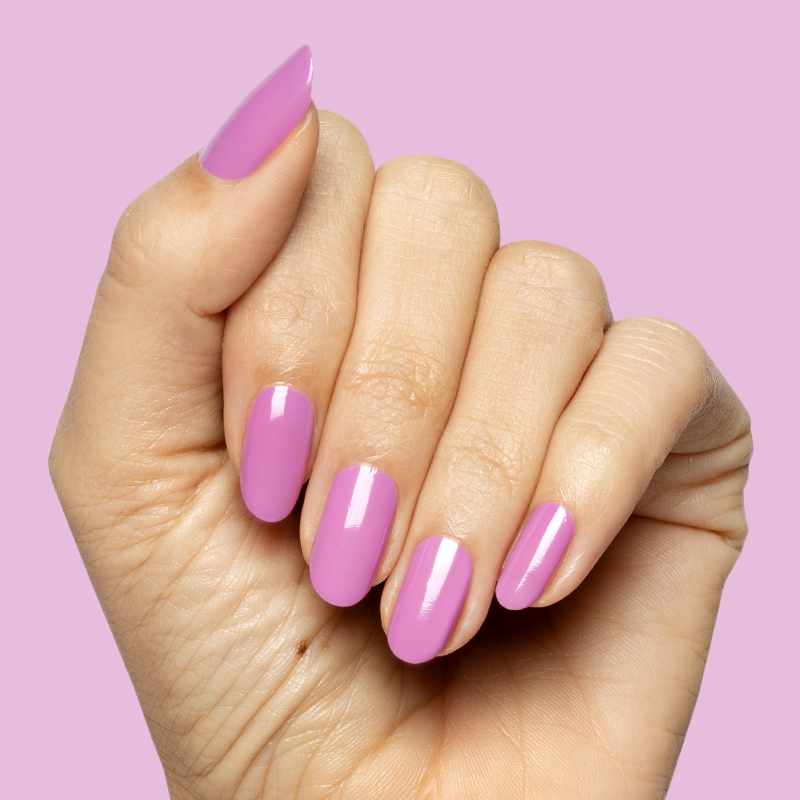 Petal、mySite、solidvoid