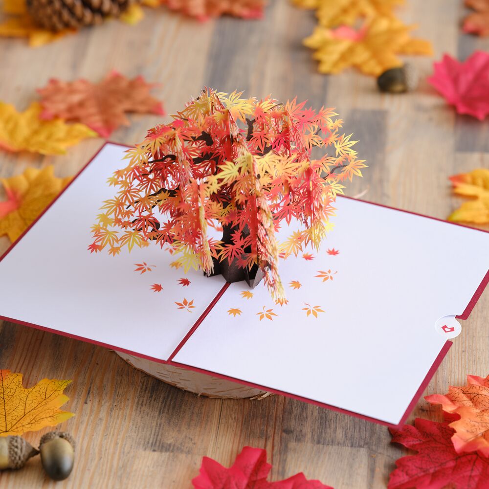 Sugar Maple Tree Pop-Up Card、mySite、solidvoid