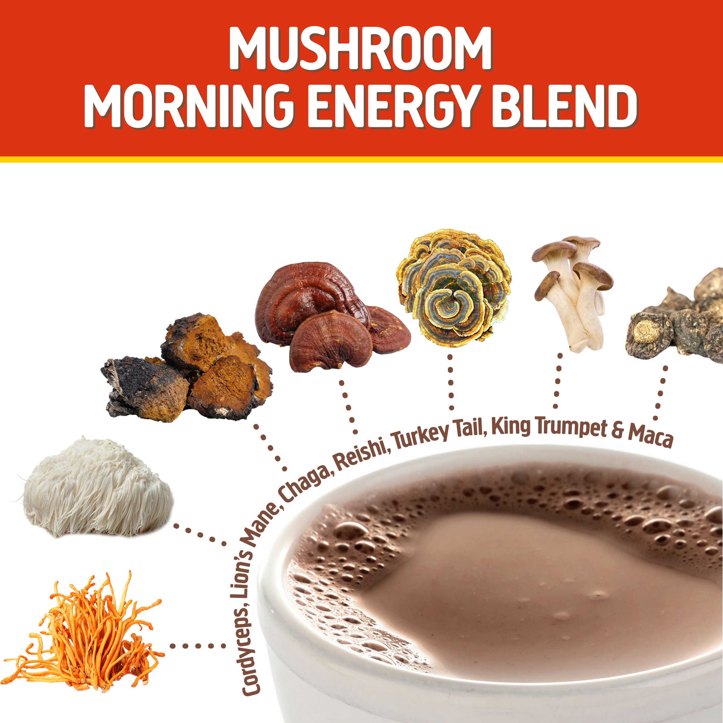 Mushroom Morning Blend、mySite、gigharbornorthrealestate