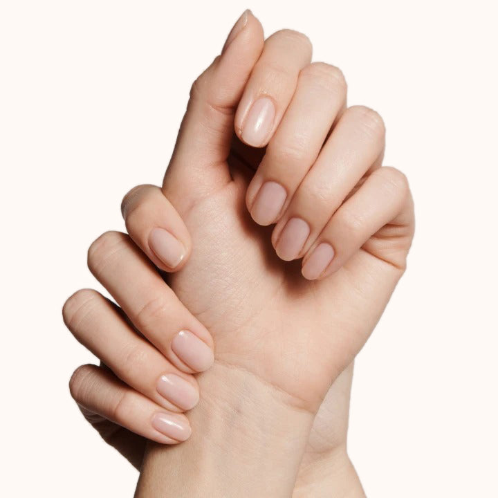 EC、mySite、solidvoid