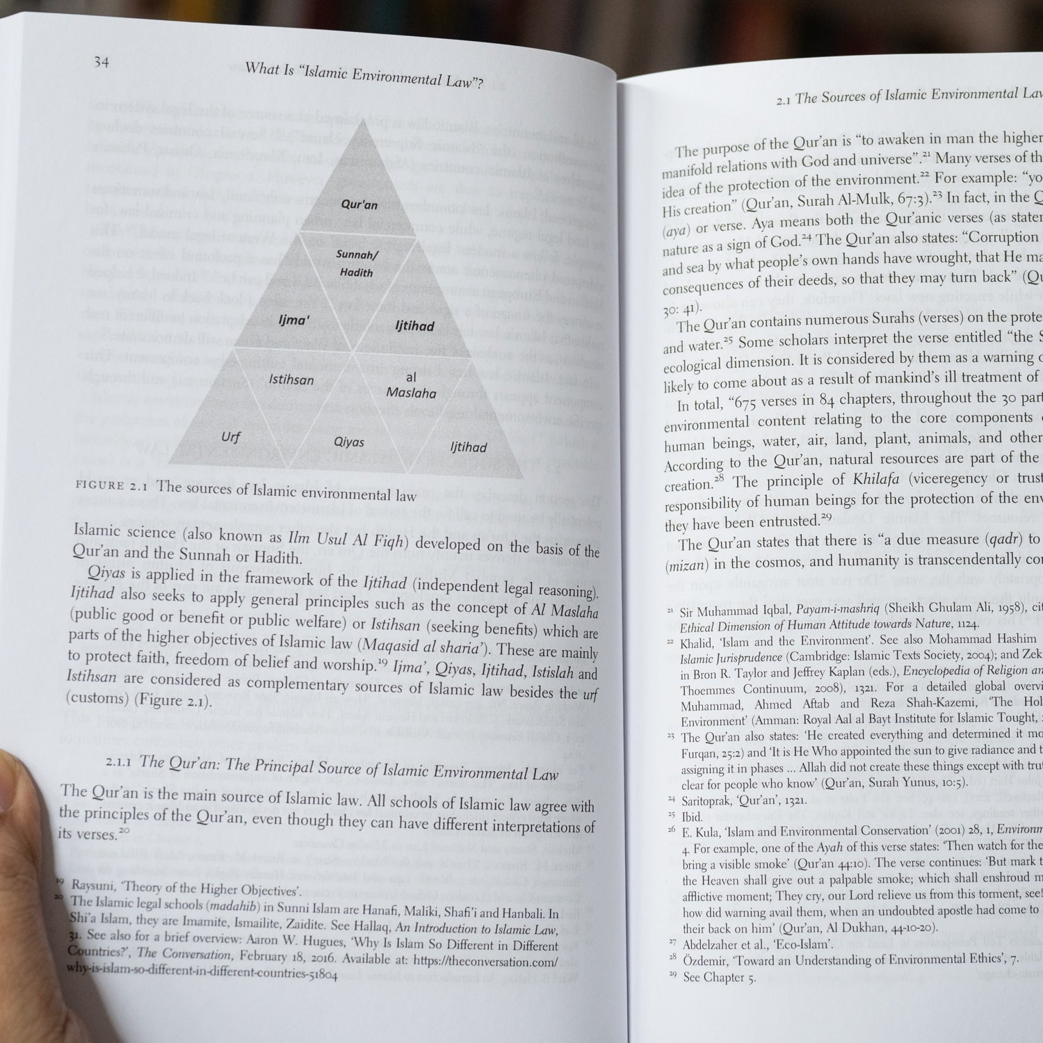 Rediscovery and Revival in Islamic Environmental Law、mySite、topwebapps