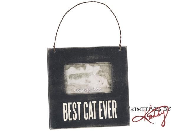 Best Pet Ever Mini Box Frame、mySite、camillekostekn
