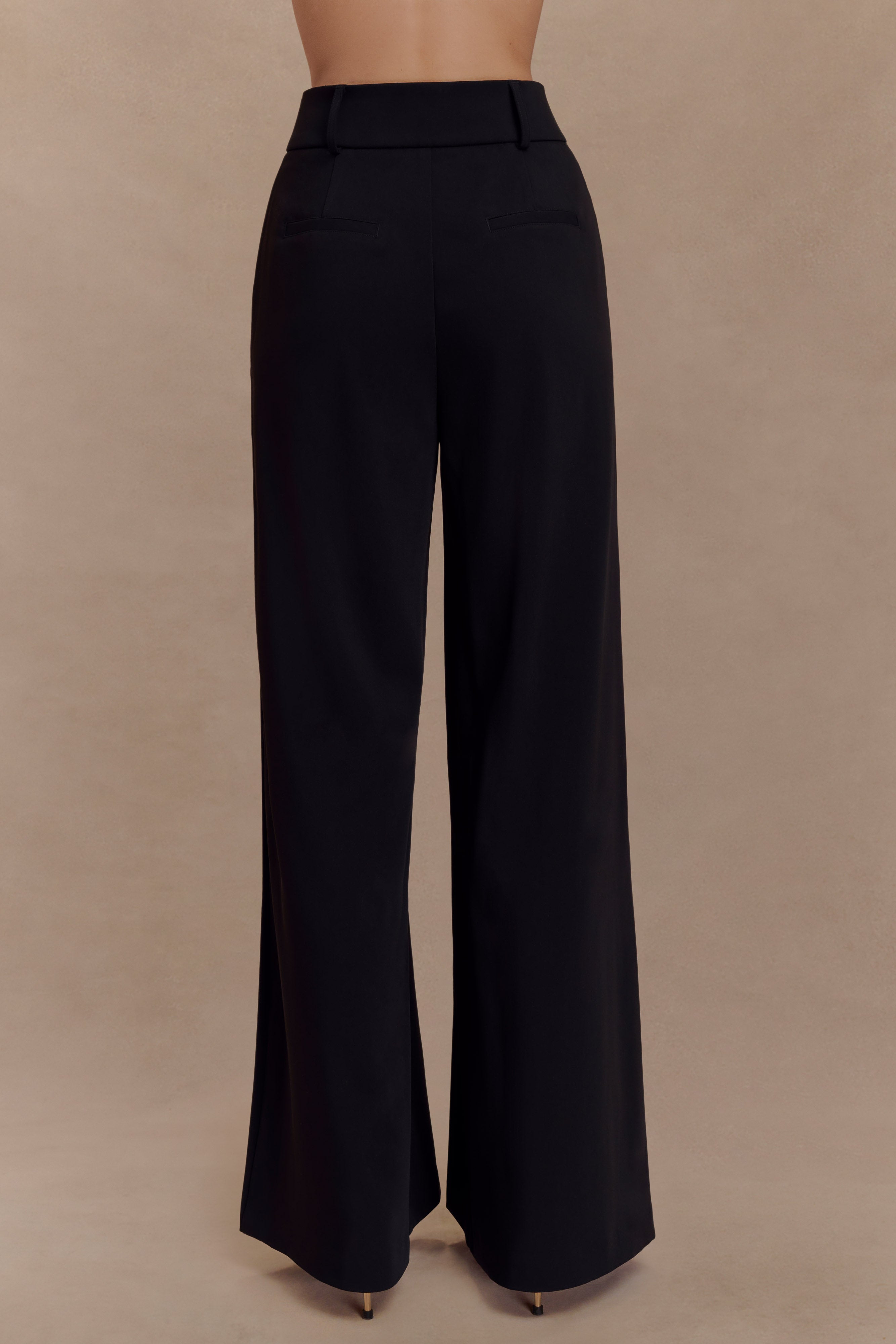 Jacqueline Pleated Wide Leg Pants - Black、mySite、solidvoid