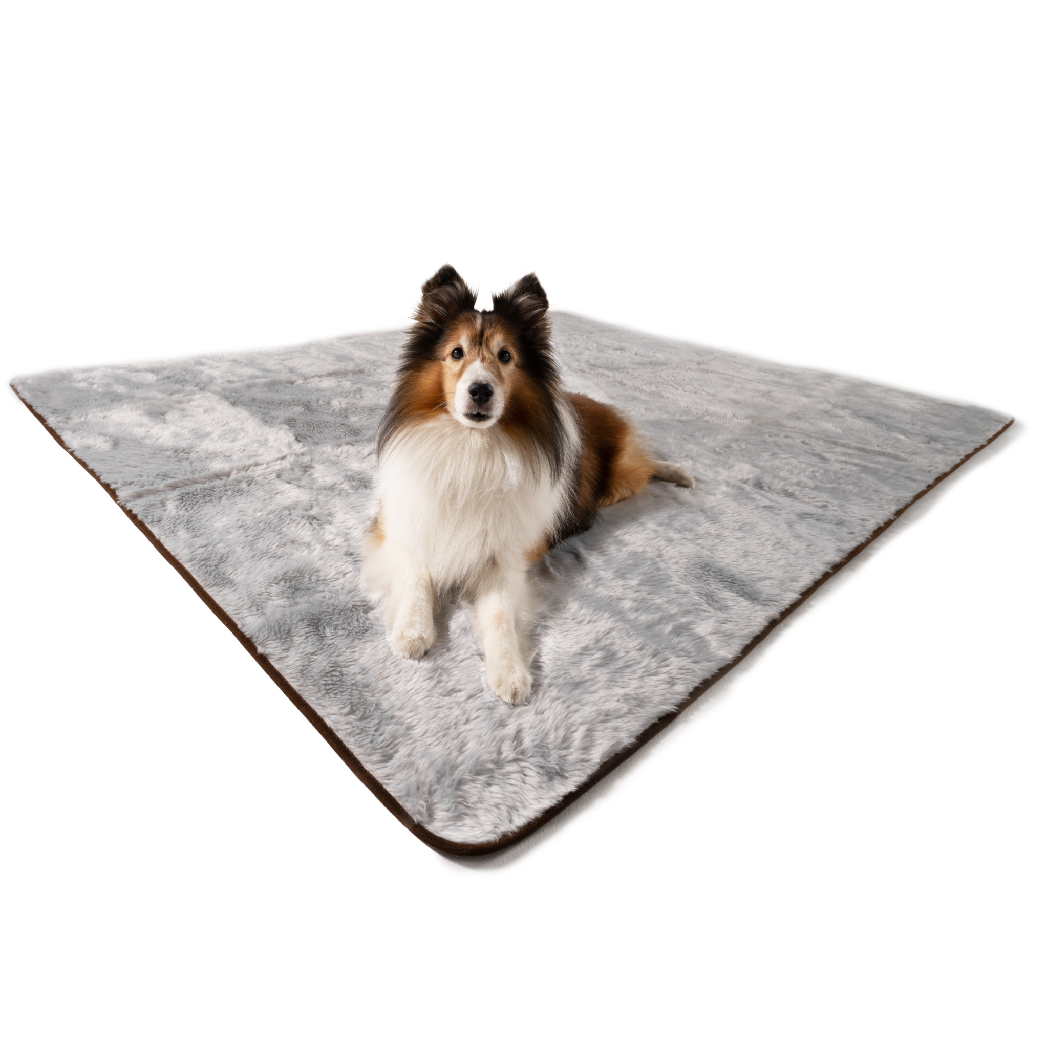 Paw.com x BarkBox PupProtector™ Short Fur Waterproof Throw Blanket - Grey、mySite、solidvoid