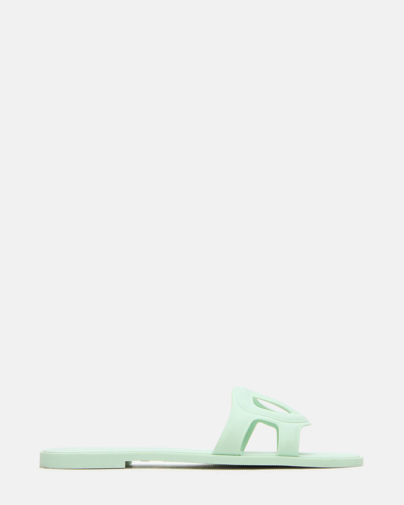 JELLIE PISTACHIO、mySite、gtrtttuynbv