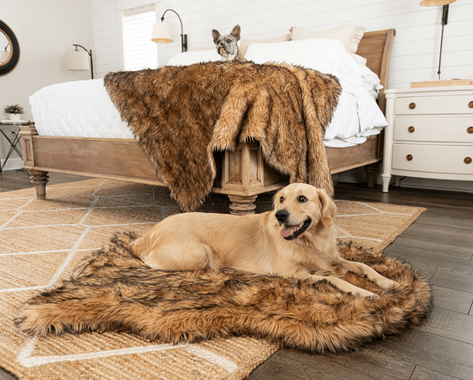 PupRug™ Orthopedic Bed + Matching Waterproof Blanket Bundle- Sable Tan、mySite、solidvoid