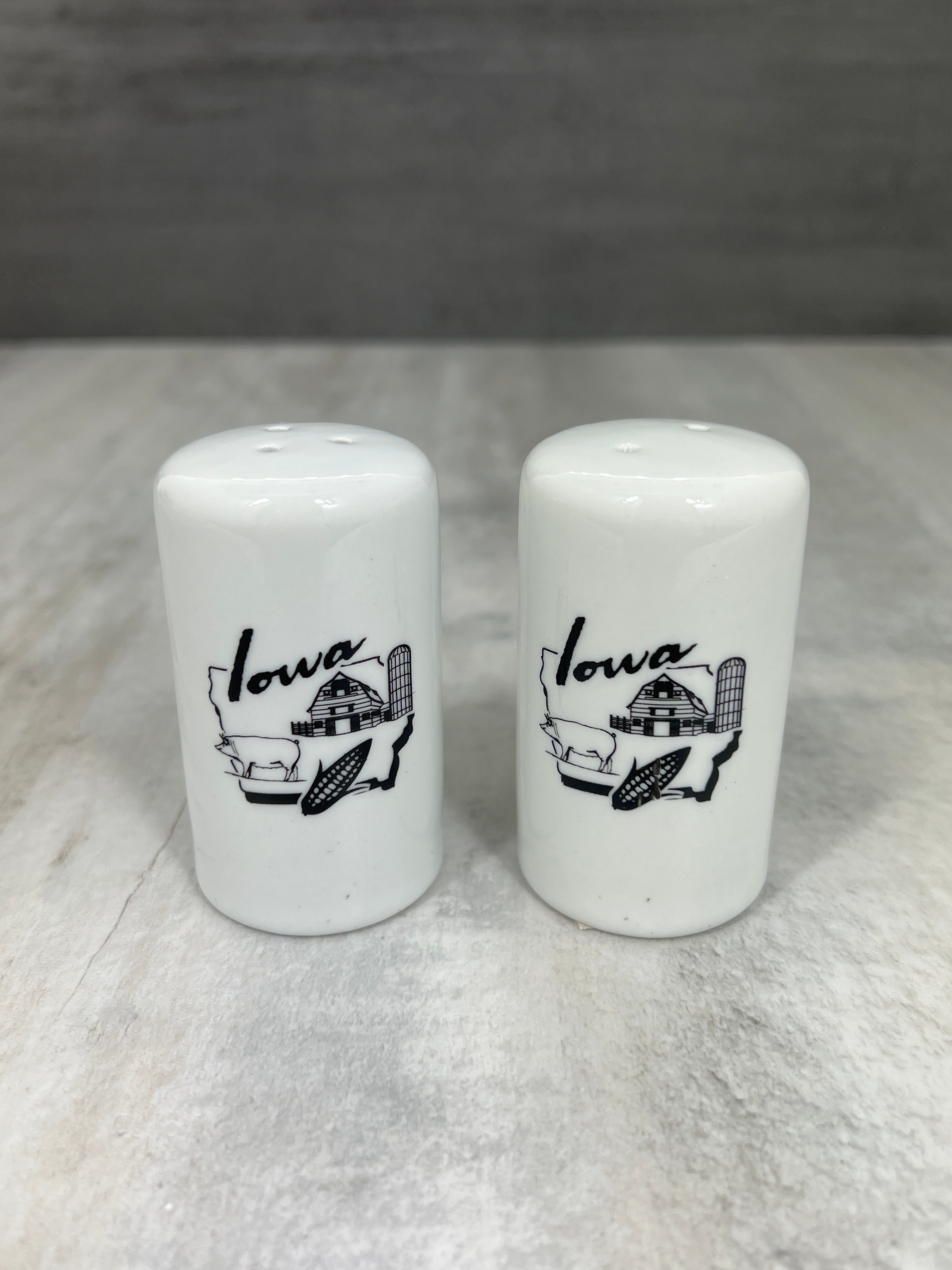 Salt & Pepper Shakers、mySite、garagedoors4me