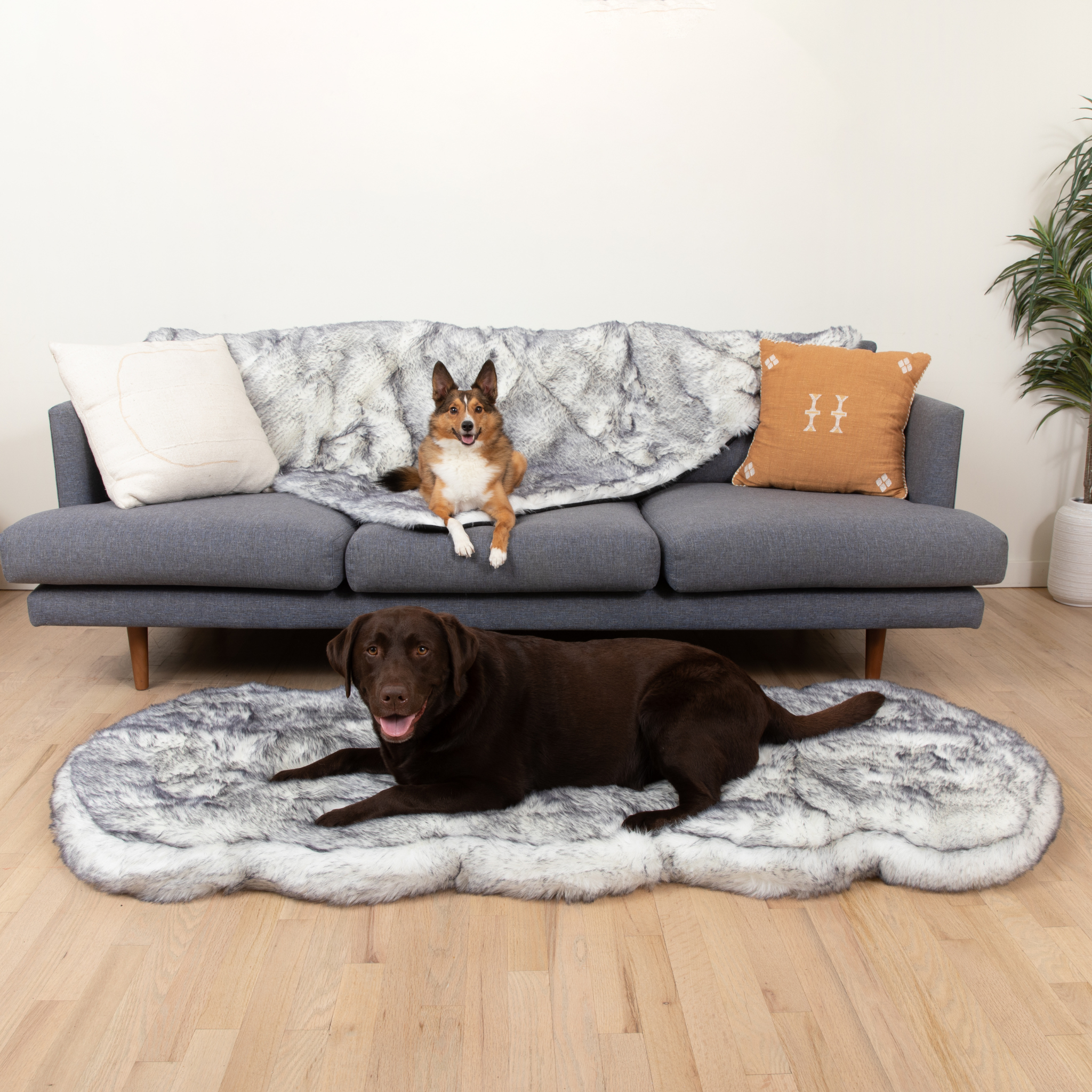 PupRug™ Luxe Orthopedic Runner Bed + Matching Waterproof Blanket Bundle - Ultra Plush Arctic Fox、mySite、solidvoid