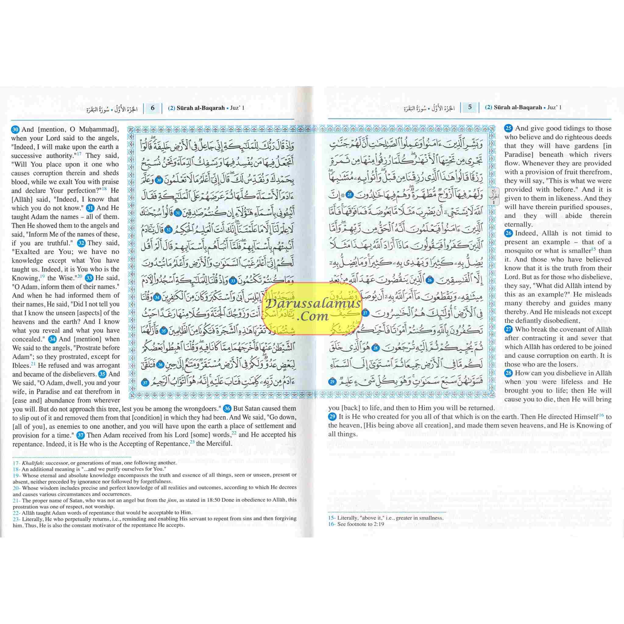 Saheeh International Quran( Arabic Text with English Meanings) Medium Soft cover、mySite、topwebapps