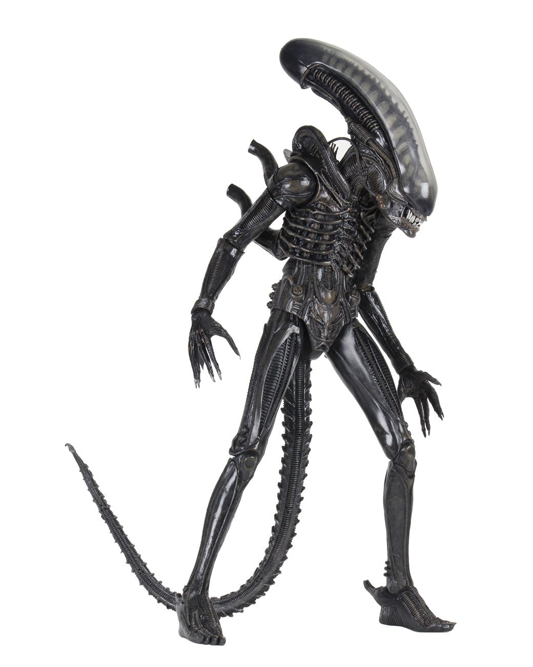 NECA Alien Ultimate 40th Anniversary Big Chap (1:4 Scale) (Re-Issue)、mySite、hgirdovlk