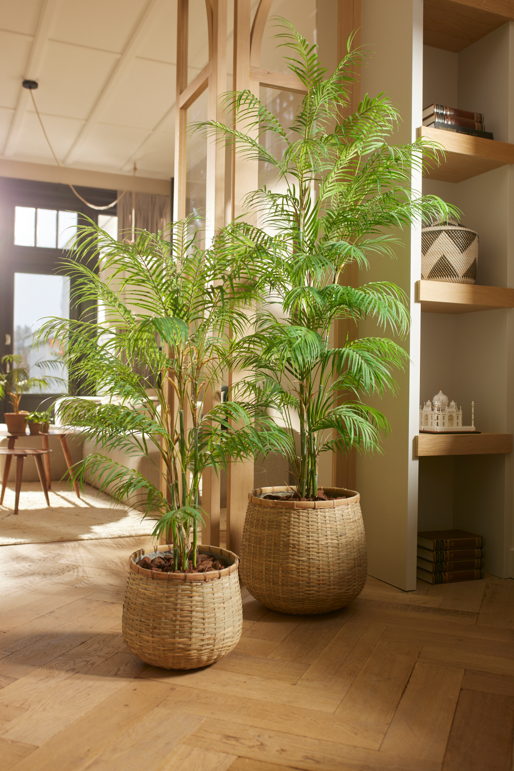 Potted Faux Palm Set (2) | Emerald Chamaedorea、mySite、neckold