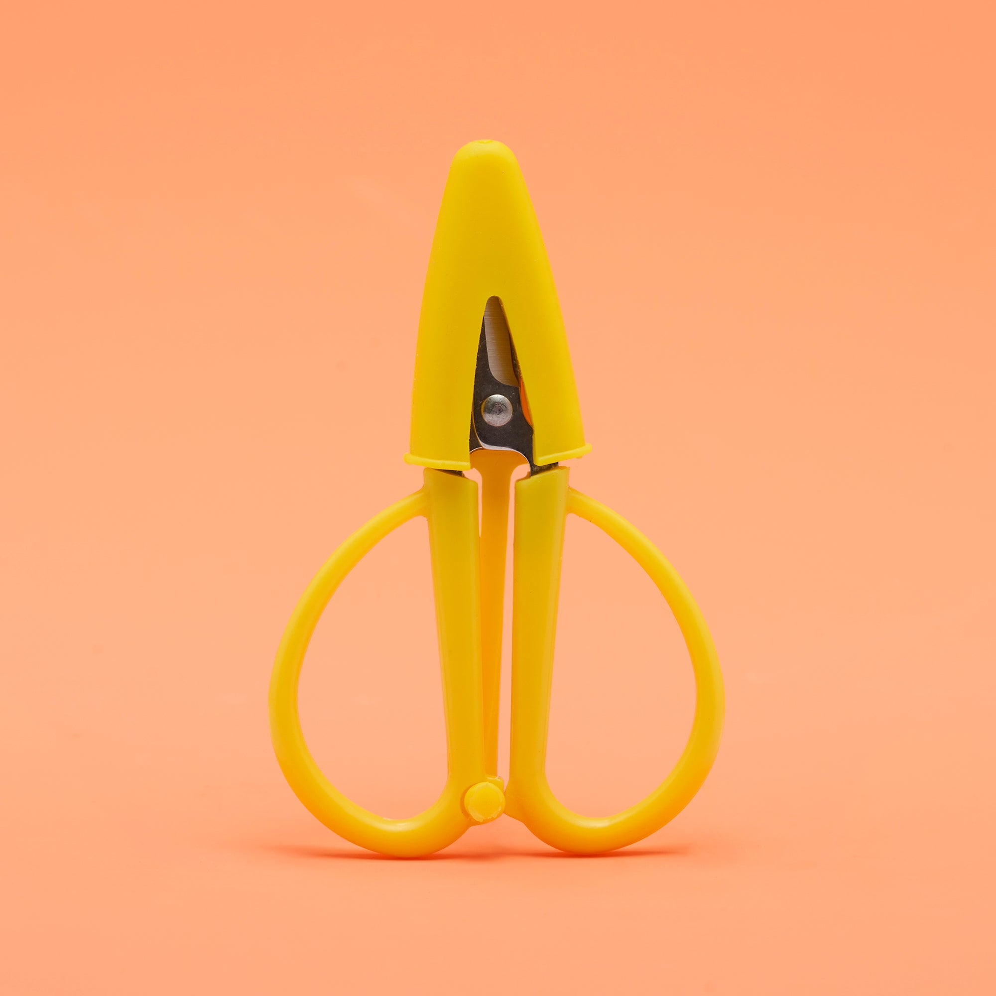  Wee Woobly Scissors、mySite、ghnorth